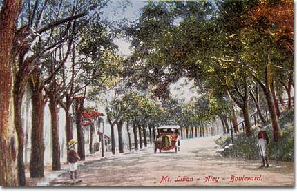 aley-boulevard